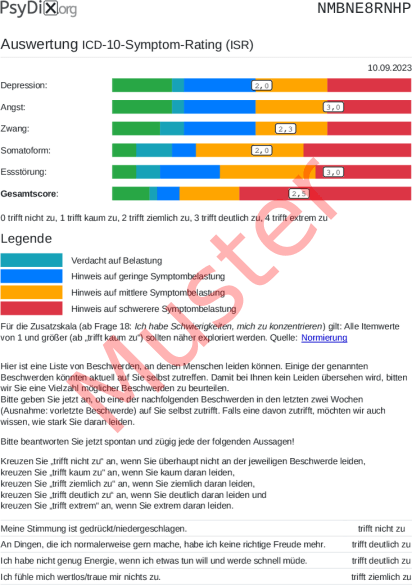 ISR-Auswertung PDF Bildschirmfoto