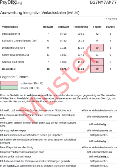 IVS-39-Auswertung PDF Bildschirmfoto