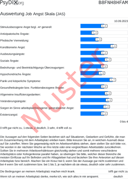 JAS-Auswertung PDF Bildschirmfoto