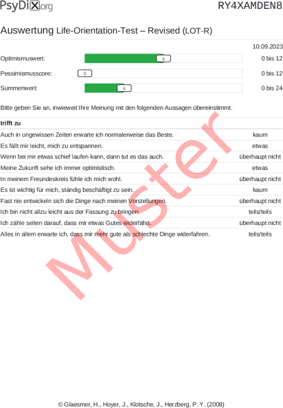 LOT-R-Auswertung PDF Bildschirmfoto
