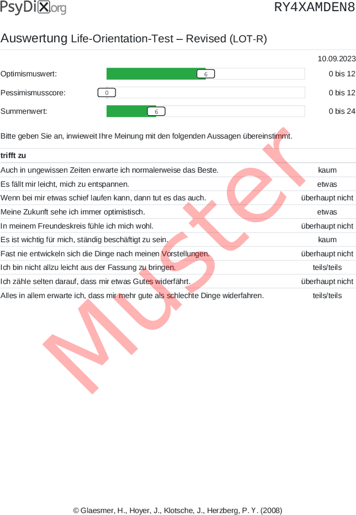 LOT-R-PDF-Auswertung