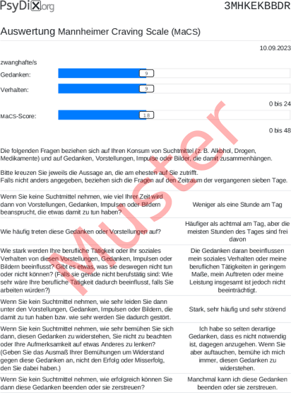 MaCS-Auswertung PDF Bildschirmfoto