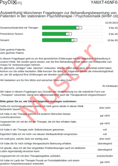 MFBP-18-Auswertung PDF Bildschirmfoto