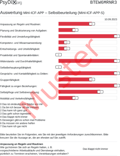 Mini-ICF-APP-S-Auswertung PDF Bildschirmfoto