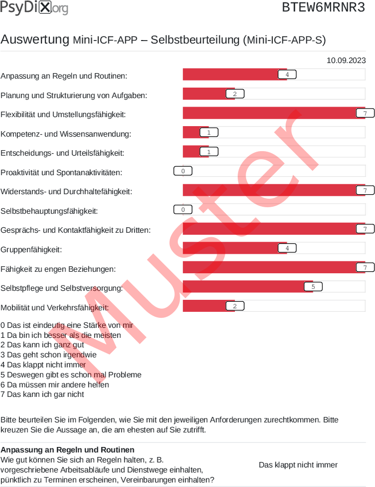 Mini-ICF-APP-S-PDF-Auswertung