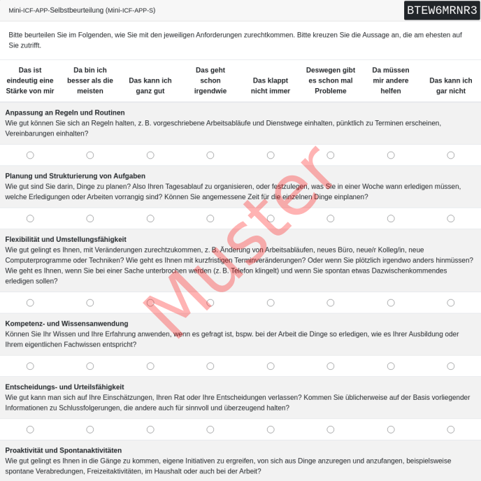 Mini-ICF-APP-S-Fragebogen