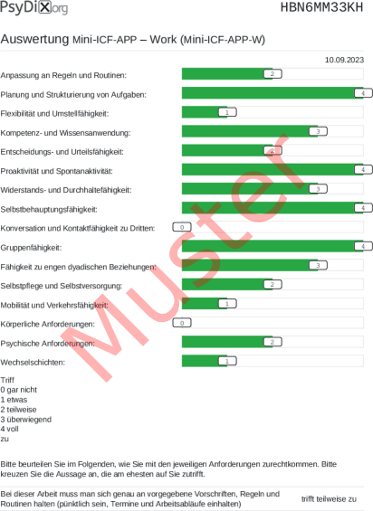 Mini-ICF-APP-W-Auswertung PDF Bildschirmfoto