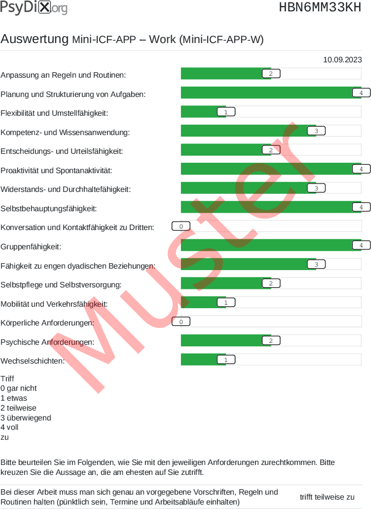 Mini-ICF-APP-W-PDF-Auswertung