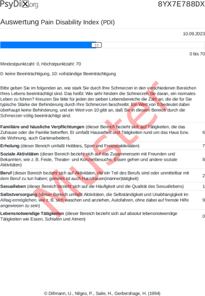 PDI-Auswertung PDF Bildschirmfoto