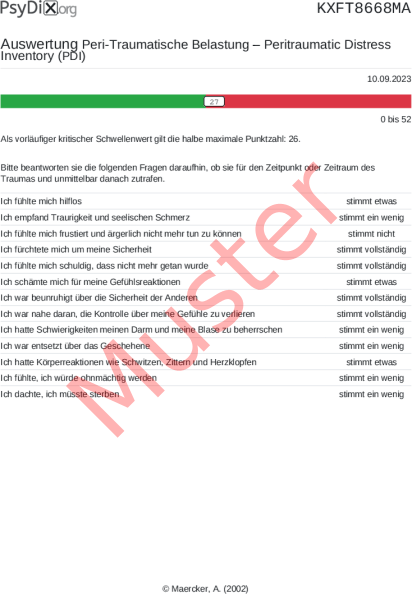 PDI-Auswertung PDF Bildschirmfoto