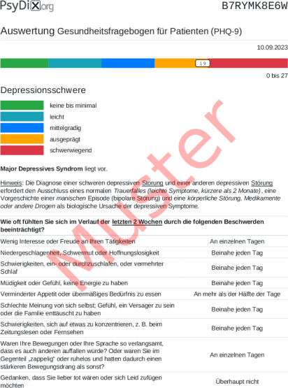 PHQ-9-Auswertung PDF Bildschirmfoto