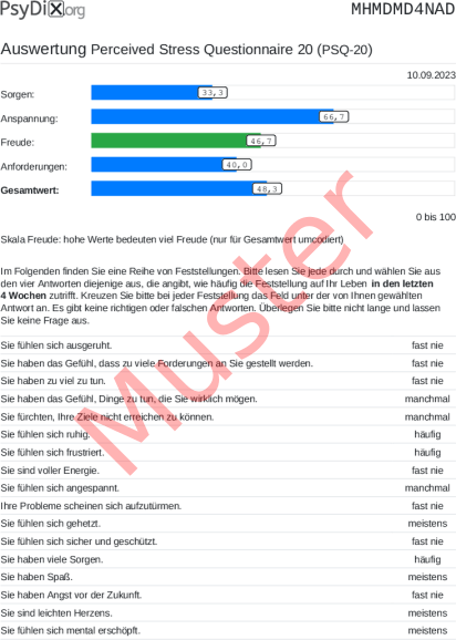 PSQ-20-Auswertung PDF Bildschirmfoto