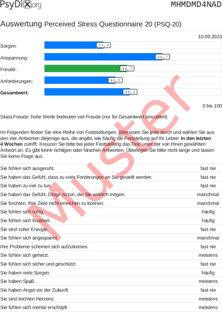 PSQ-20-PDF-Auswertung