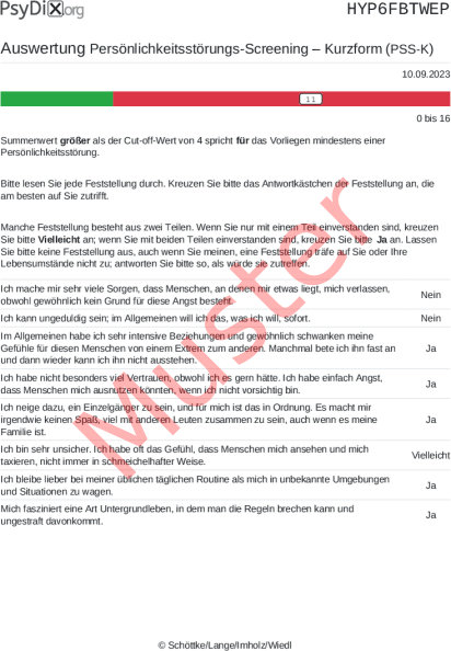 PSS-K-Auswertung PDF Bildschirmfoto