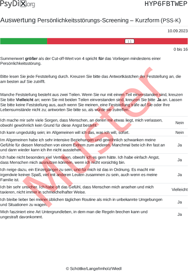 PSS-K-PDF-Auswertung