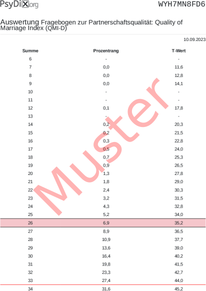 QMI-D-Auswertung PDF Bildschirmfoto