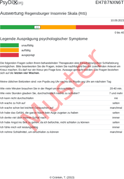 RIS-Auswertung PDF Bildschirmfoto
