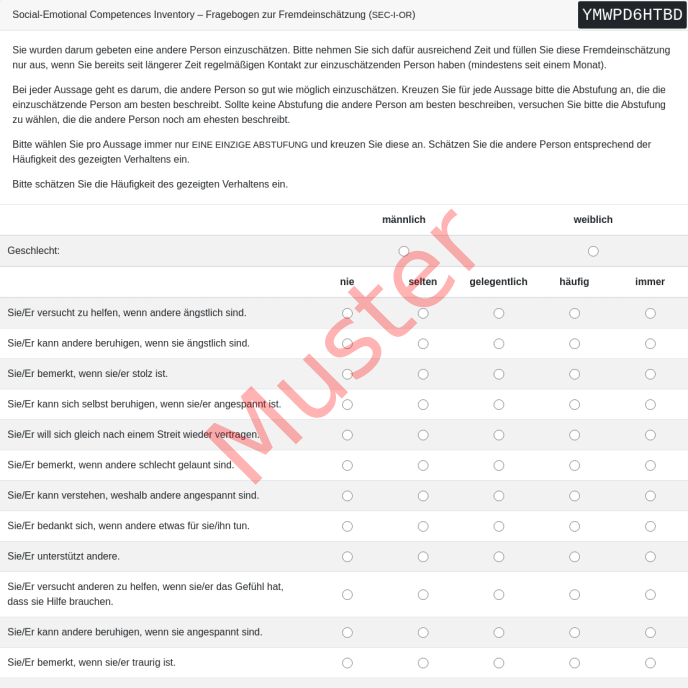 SEC-I-OR-Fragebogen