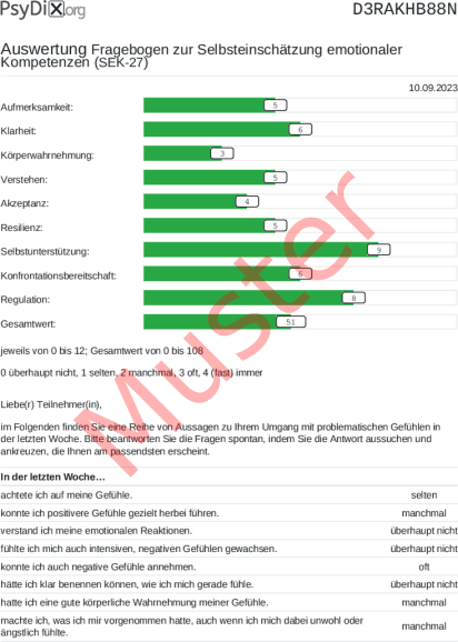 SEK-27-Auswertung PDF Bildschirmfoto