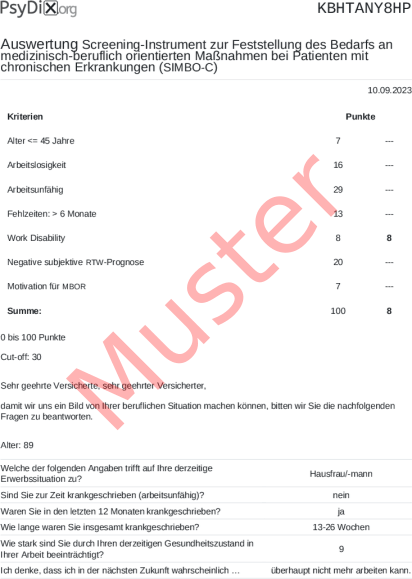 SIMBO-C-Auswertung PDF Bildschirmfoto