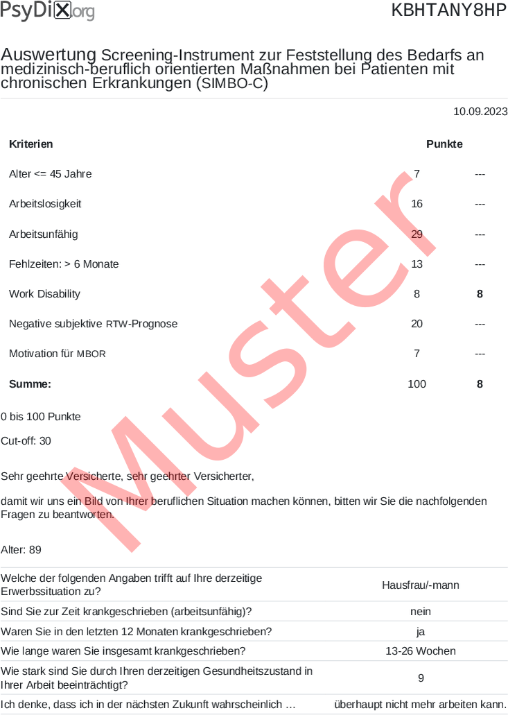 SIMBO-C-PDF-Auswertung