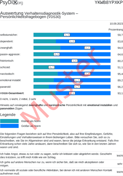 VDS30-Auswertung PDF Bildschirmfoto