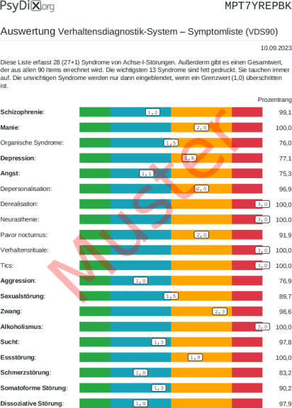 VDS90-Auswertung PDF Bildschirmfoto