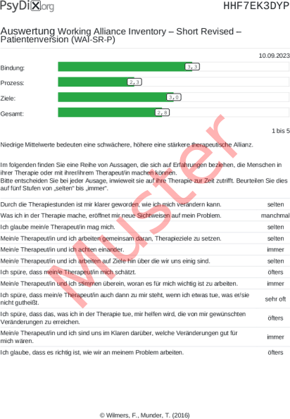 WAI-SR-Auswertung PDF Bildschirmfoto