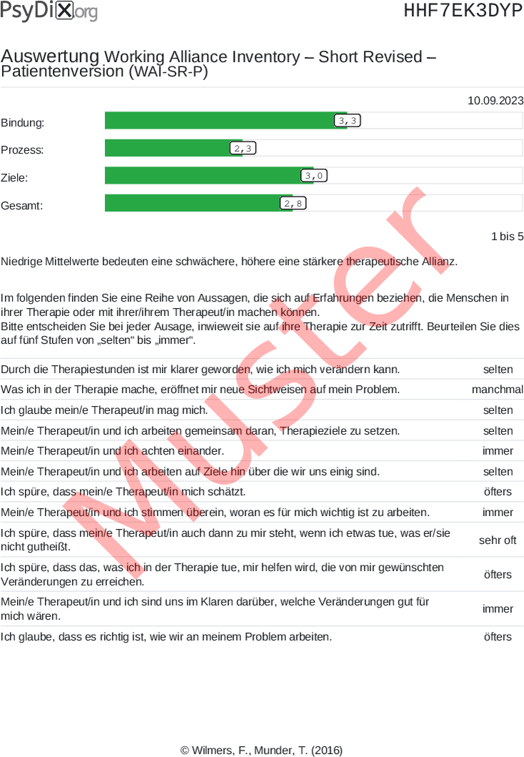 WAI-SR-PDF-Auswertung