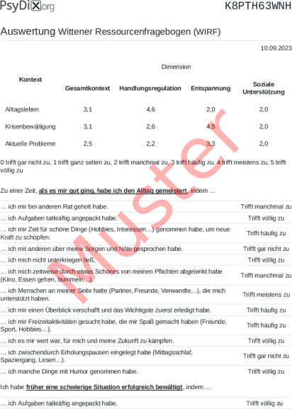 WIRF-Auswertung PDF Bildschirmfoto